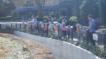 IMGP0522