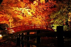 天満宮もみじ苑9