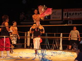 e3395857.jpg