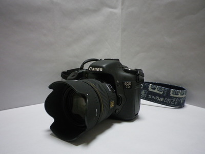 IMGP0024