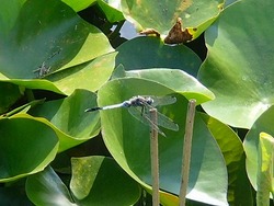 P7210060