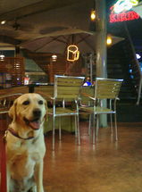 20050718211640.jpg