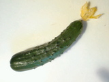 235ffd63.jpg