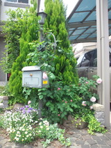 f56075af.jpg