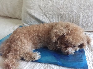 coolmat2