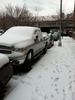 snow1