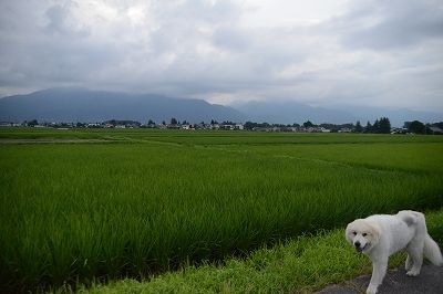 s-DSC_8203
