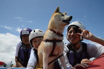 s-DSC_1321