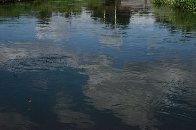 s-DSC_1170