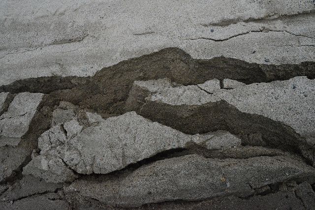 DSC_8283