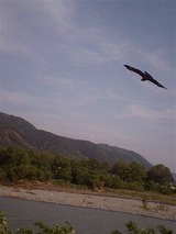 9c230230.jpg