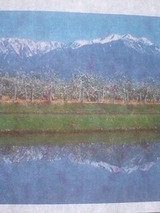 a90f4a38.jpg