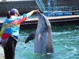 DSCN0468