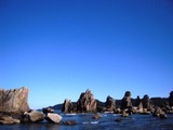 DSCN0494
