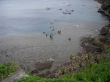 DSCN0190