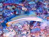 ☆眩しい☆①