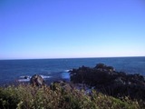 DSCN0505