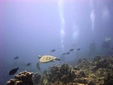 RIMG0031