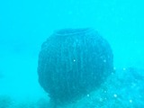 P9240039