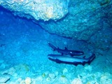 IMG_3291