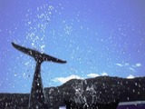 DSCN0462
