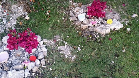 20160615_064014_resized