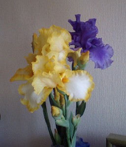 6d5071b9.jpg