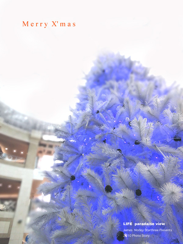 Merry X'mas