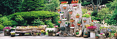 web shop 画像