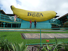 BIG BANANA