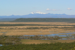 P1110732
