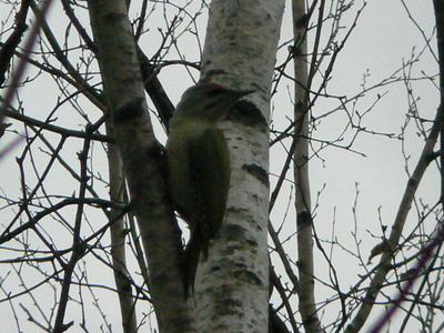 P1210463