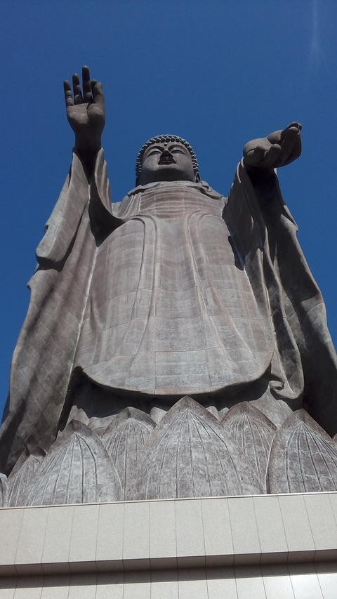 大仏様を見上げる
