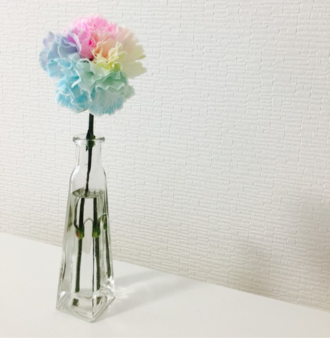 母の日カーネーション珍しい色