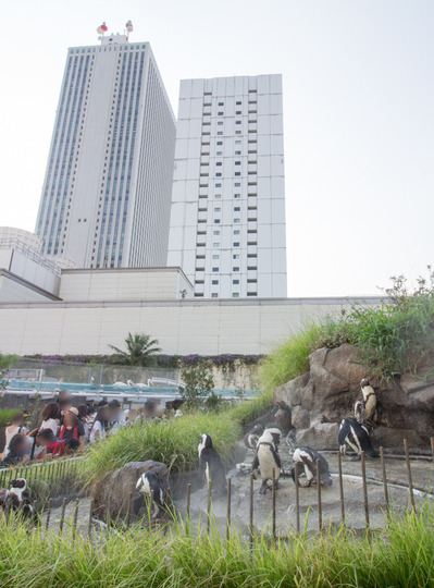 池袋サンシャイン水族館子連れ5