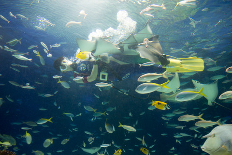 池袋サンシャイン水族館子連れ3