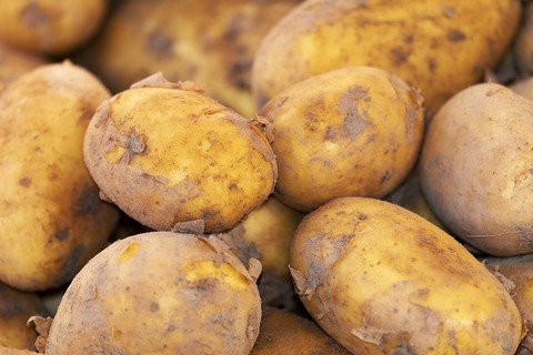 potato-3440360_1920