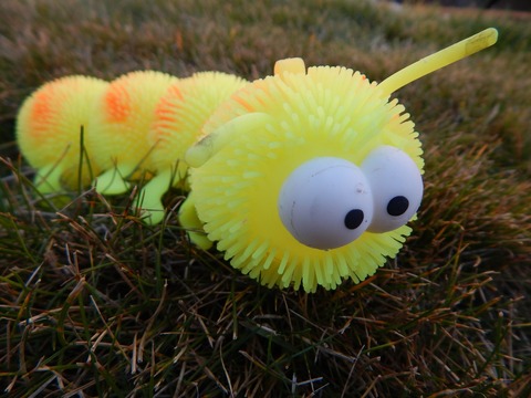 caterpillar-510143_1920