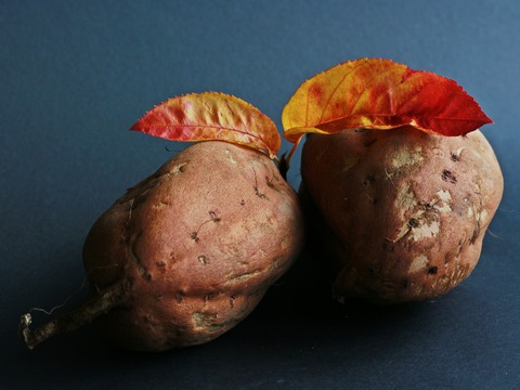 sweet-potato-534874_1920