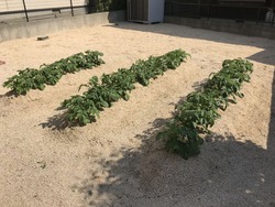 005