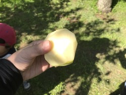043