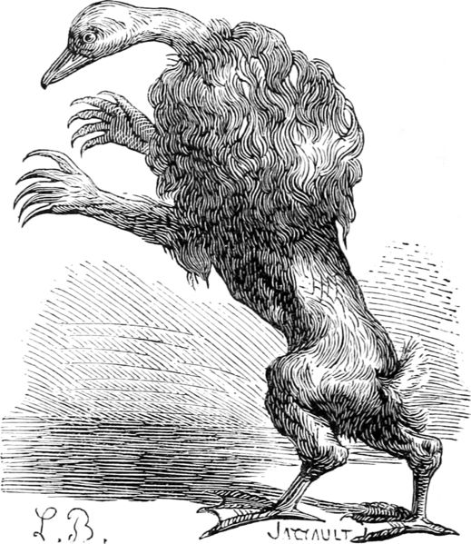 Ipès