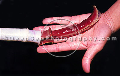 20111210165854_66_3
