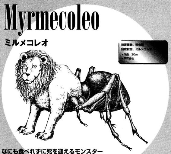 myrmecoleo