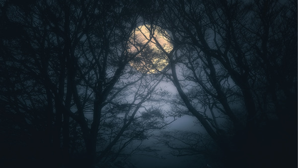 shutterstock_750099091