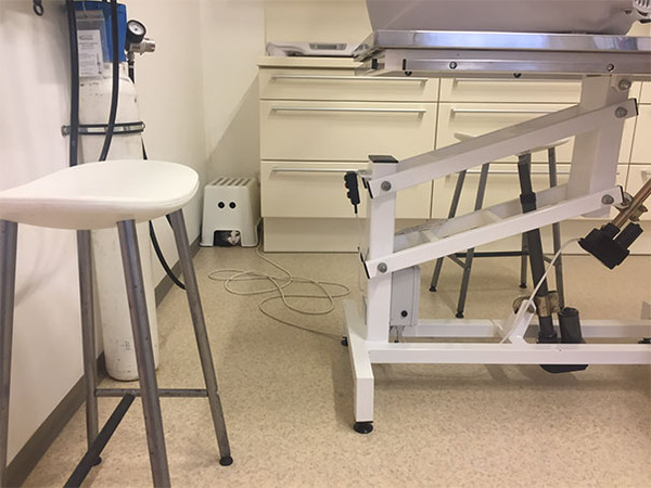 funny-scared-cats-vet-clinic-15-5bb62a339f92d__605
