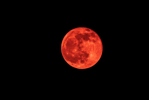 shutterstock_335727200