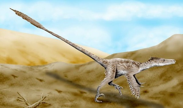 640px-Velociraptor_mongoliensis
