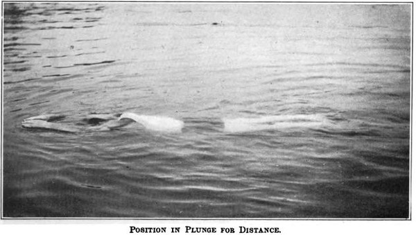 plunge_for_distance_handley_1918