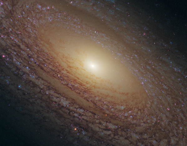 24-Tight spirals in NGC 2841-hmaddness